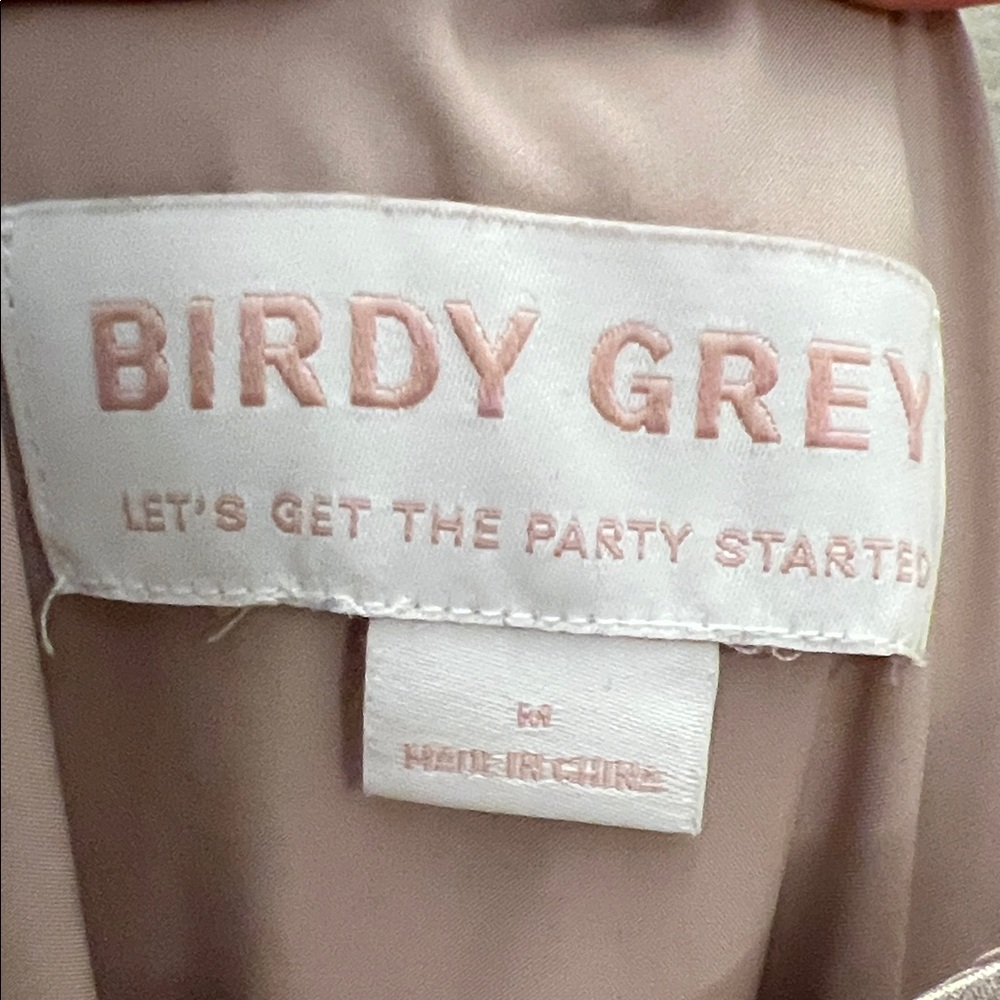 Birdy Grey Catherine Satin Maxi Dress in Taupe - Picture 2 of 5